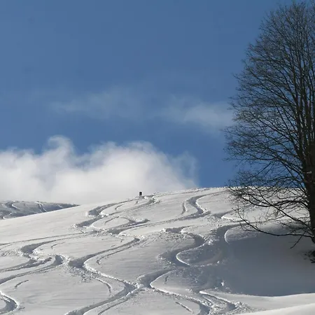 Pruenster شقة ماريا لوغاو