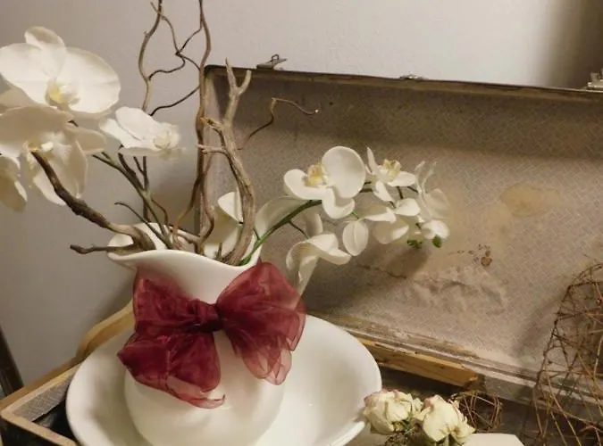 Apartament Pruenster *