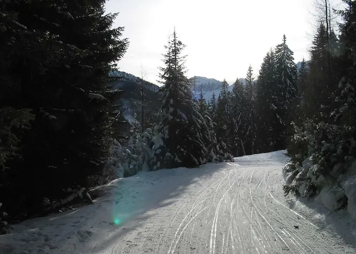 Pruenster * Maria Luggau